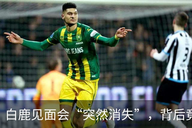 白鹿见面会“突然消失”，背后竟藏着这些“旧账”！